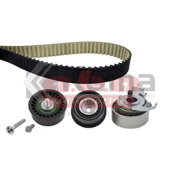 1629061 EKSANTRİK KİTİ OPEL VECTRA-B (X1.6XEL/1.6XE) 96-02 / ASTRA-F (X1.4XE/X1.6XEL) 92-98 / CORSA-B (X1.4XE/X1.6XE) 93-02 İTHAL ürün görseli 1