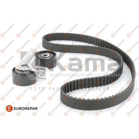 0831P1 Kampanya EKSANTRİK KİTİ PEUGEOT 307 / 308 / 407 / PARTNER / TEPEE / CITROEN C3 / C4 (1.6HDI) 03- İTHAL
