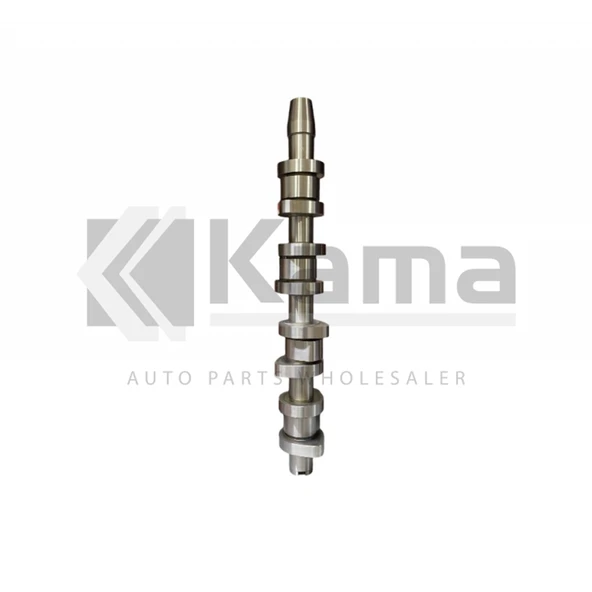038109101R EKSANTRİK MİLİ (ÇELİK) (OEM) VW TRANSPORTER-T5 / CADDY / PASSAT / AUDI A3 (AXB/BJB/BXE/AVF/1.9TDI) 04-10 İTHAL