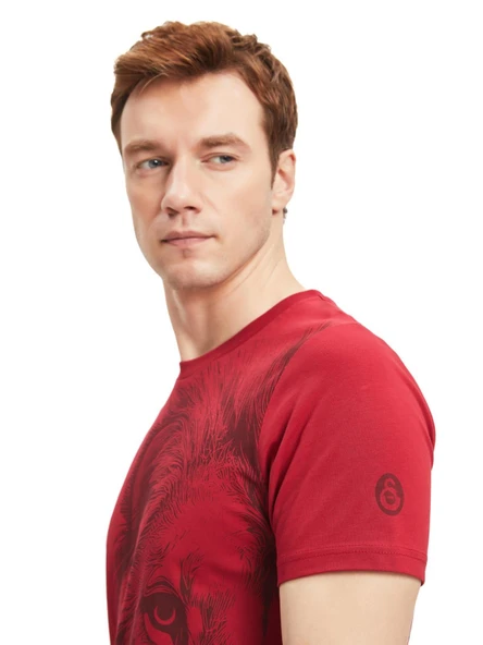 Galatasaray Orijinal Lisanslı Aslan Baskılı T-Shirt + Uçlu Kalem Set Hediyelik Ahşap Kutulu - 7