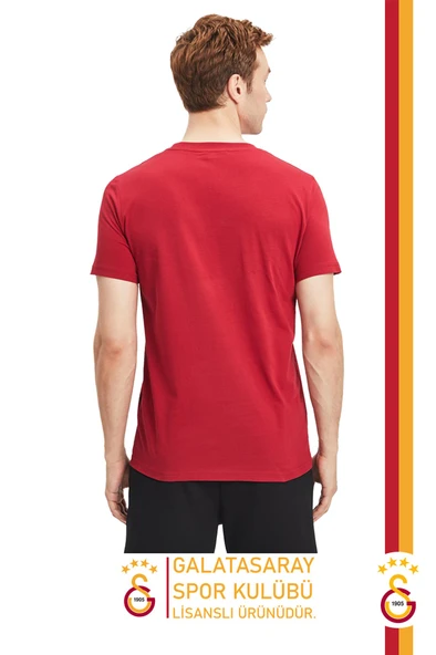 Galatasaray Orijinal Lisanslı Aslan Baskılı T-Shirt - 2
