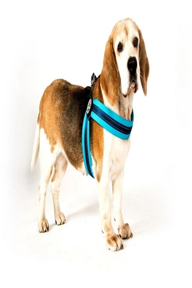 Max & Molly Köpek Göğüs Tasması Köpek Göğüs Tasması Q-fit Matrix Xlarge - Resim 2