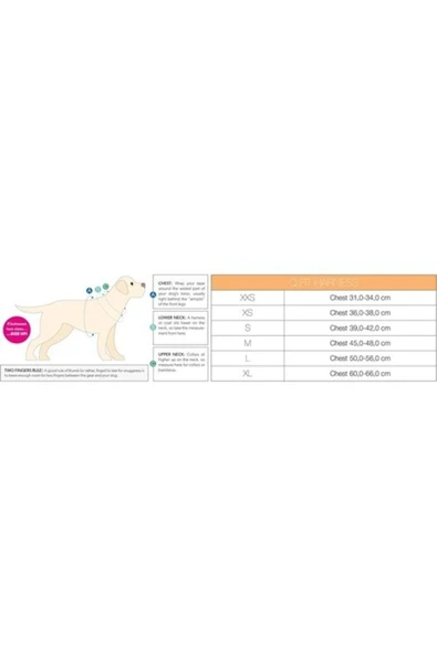 Lepus Max & Molly Q-fit Matrix Orange Göğüs Tasması - Resim 2
