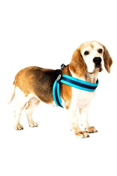 Max & Molly Q-fit Matrix Köpek Göğüs Tasması Small Sarı 39-42 Cm - 6
