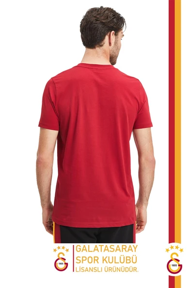 Galatasaray Orijinal Lisanslı Kırmızı Erkek T-Shirt Gs Aslan Baskılı Hediyelik Ahşap Kutulu - 3
