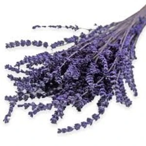 Şoklanmış Dökülmeye Dayanıklı Gerçek Lavanta Demeti Mor (100 Gr) - 2