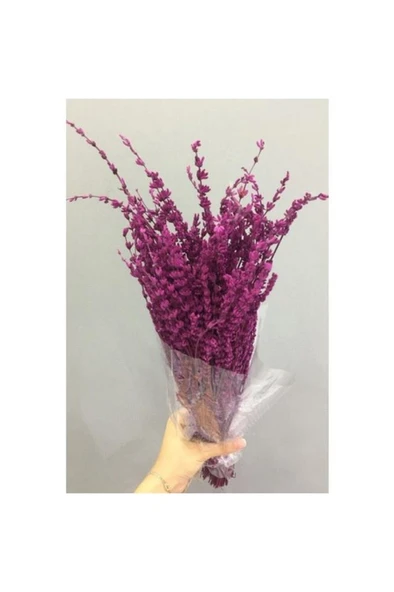 Kuru Çiçek Fuşya Lavanta Demeti Buketi Şoklanmış 40-50 cm