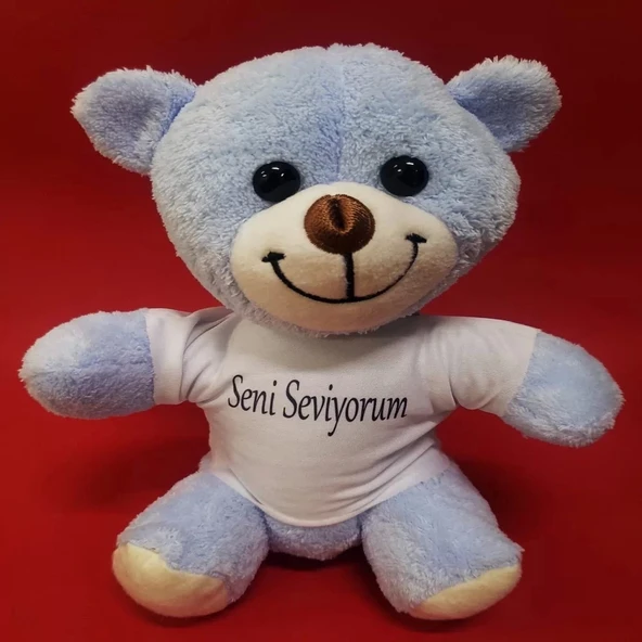 Mavi Seni Seviyorum Tişörtlü Ayı ürün görseli 1