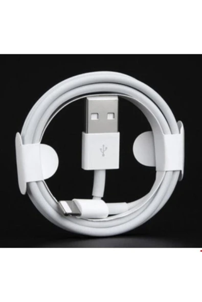 Foxconn Apple Iphone Uyumlu A Kalite Şarj Aleti Kablosu 1m Lightning Usb Kablosu - 3
