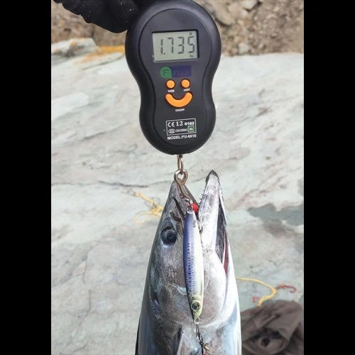 S.F. Sardalya Jig 29g - Sahte Yem Kaşık Rapala -Levrek, Palamut, Lüfer, Çinekop, Turna İçin En İyi Glow Jig Yem - 5