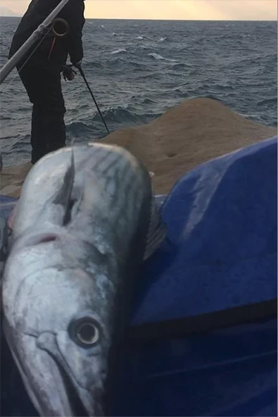 S.F. Sardalya Jig 29g  - Sahte Yem Kaşık Rapala -Levrek, Palamut, Lüfer, Çinekop, Turna İçin En İyi Glow Jig Yem - 3