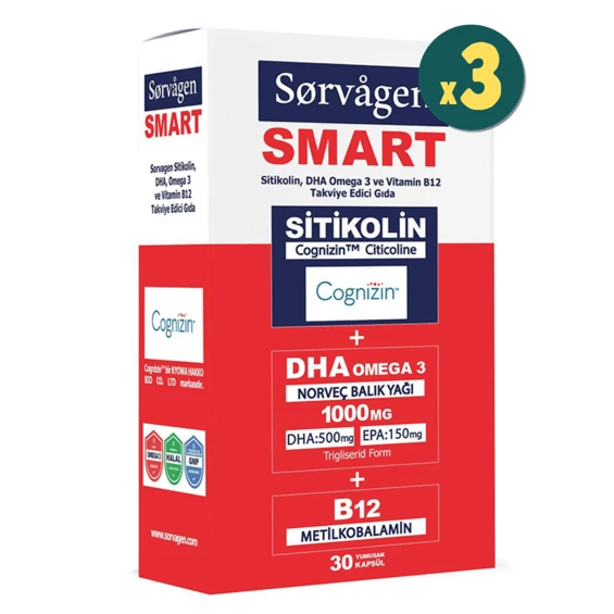 Sorvagen Smart Sitikolin DHA Omega 3 ve B12 30 Kapsül 3 Adet - 1