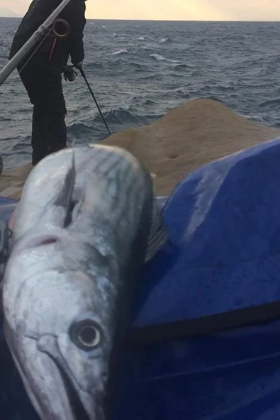 S.F. Sardin Jig 29g - Sahte Yem Kaşık Rapala - Levrek, Palamut, Lüfer, Çinekop, Turna İçin En İyi Jig Yemi - Resim 5