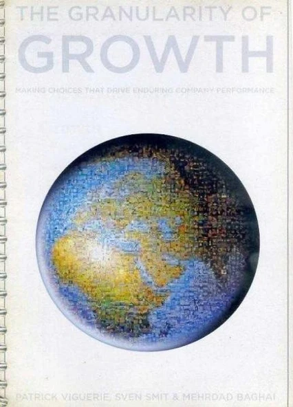 The Granularity of Growth (Fotokopi Kitap)
