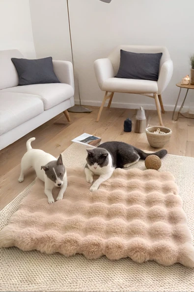 Peluş Yumuşak Yıkanabilir Bubble Kedi Yatağı - Köpek Yatağı Minder Vizon