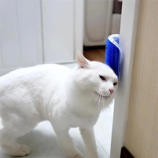 heyf HEYF®  Pratik Kedi Tüyü Kaşıma Ve Tarama Aparatı Duvara Monte Kaşıma Aleti