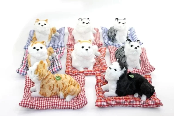 Kafa Salayan Yastıklı Kedi Alk2566 ürün görseli 1