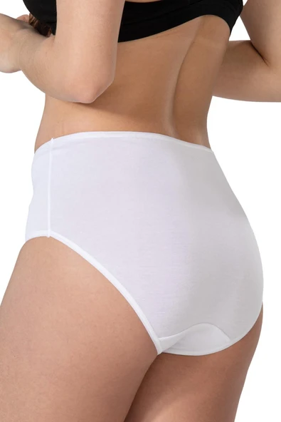 BEYAZ MI Emay 1445 Modal Cotton Yüksekbel Dantelli Külot - 2