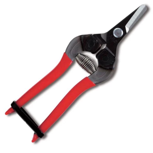 Ars 310 Meyve Toplama Makası + Budama Testeresi - 5