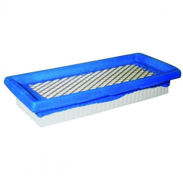 Briggs & Stratton Hava Filtresi 9-13 Hp - Resim 3