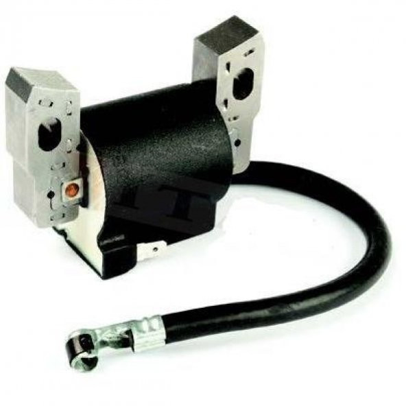 Briggs & Stratton 750 DOV Benzinli Motor Elektronik Bobin