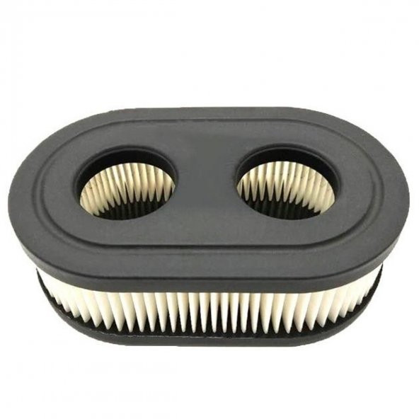 Briggs & Stratton Hava Filtresi 450-550-575E  Serisi - 4