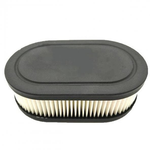 Briggs & Stratton Hava Filtresi 450-550-575E  Serisi - 5