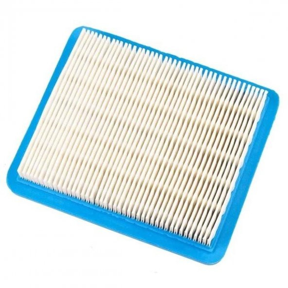 Briggs & Stratton Hava Filtresi 3.5-5 Hp - Resim 3