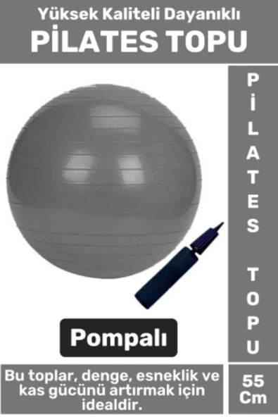 Premium Dayanıklı Fitness Egzersiz Aerobik Pilates Şişirme Pompası Hediyeli 55 Cm PİLATES TOPU