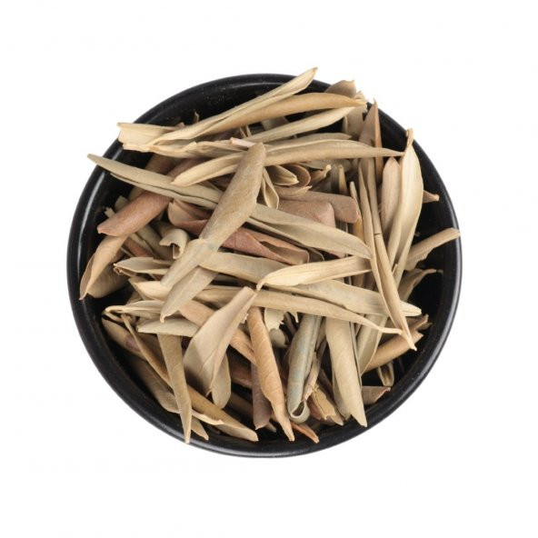 Zeytin Yaprağı 100 GR