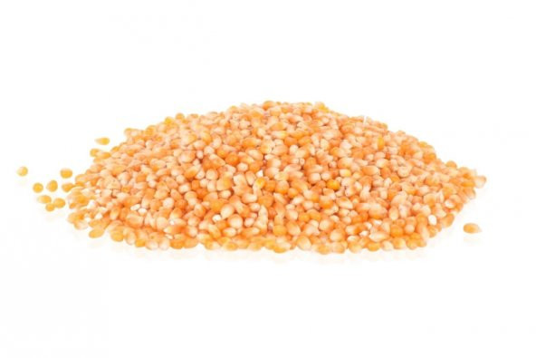 Patlatmalık Mısır 500 g - Resim 3