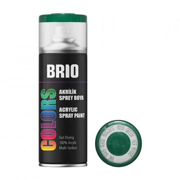 Brio Sprey Boya Akrilik Yosun Yeşili B6005 400 Ml