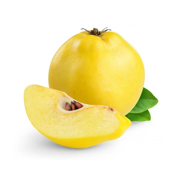 Eşme Ayva Fidanı Açık Kök 50-100 cm