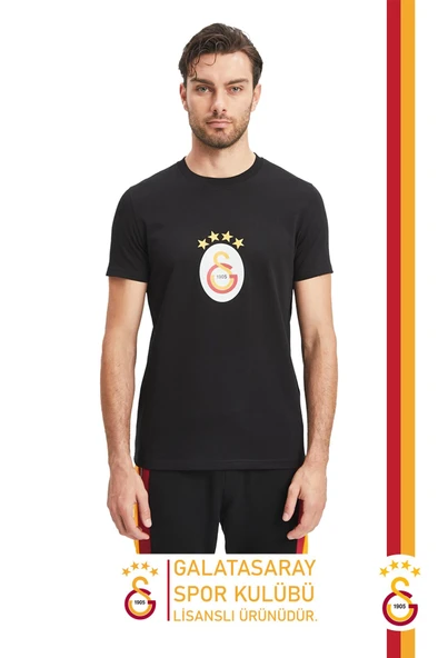 Galatasaray Orijinal Lisanslı Arma T-Shirt Gs Aslan Baskılı Hediyelik Ahşap Kutulu - Resim 8