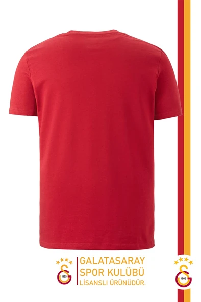 Galatasaray Orijinal Lisanslı Arma T-Shirt Gs Aslan Baskılı Hediyelik Ahşap Kutulu - Resim 3