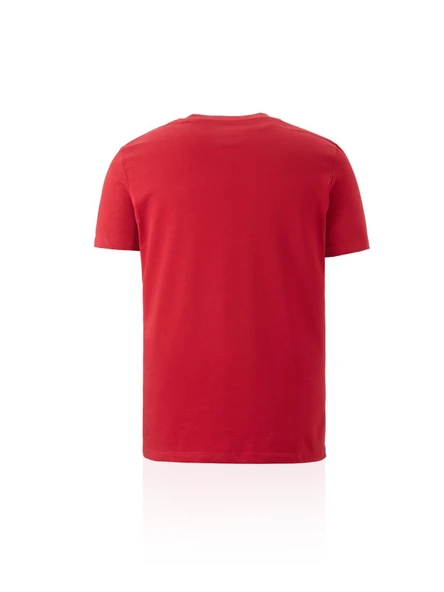 Galatasaray Orijinal Lisanslı Arma T-Shirt Metin Oktay Baskılı Hediyelik Ahşap Kutulu - 6