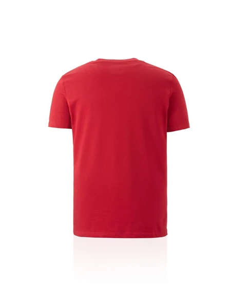 Galatasaray Orijinal Lisanslı Arma T-Shirt - Resim 9