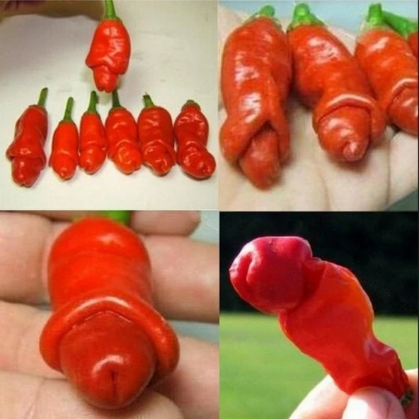 Gerçek Doğal Peter's Pepper(Biber) Tohumu(4 Tohum)
