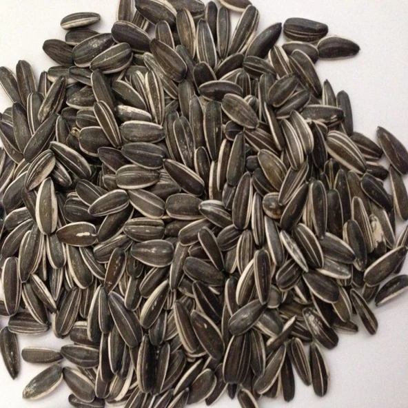 Doğal Siyah Çerezlik Çitlemelik Ayçiçeği Çekirdek Tohumu (1 KG) ürün görseli