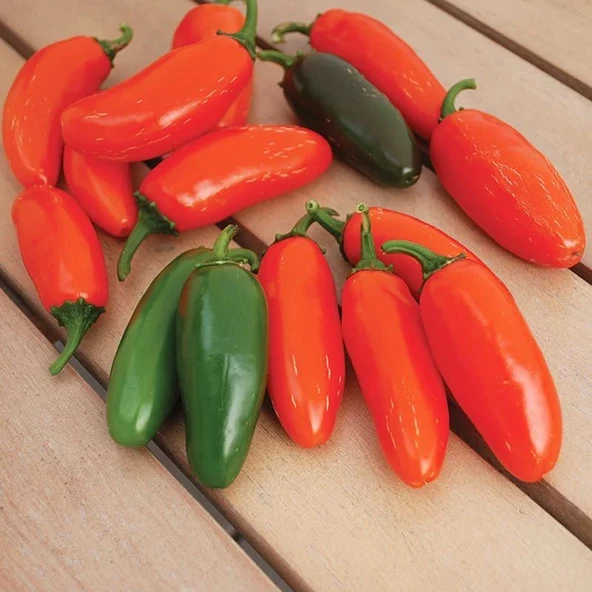 Geleneksel Zehir Gibi Acı Çok Acı Gialla Jalapeno Biber Tohumu (10 tohum) ürün görseli