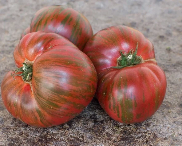 Dward Black Fire Etli Beef Domates Tohumu (10 tohum) - Resim 2