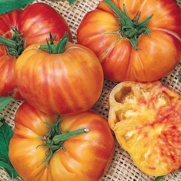 Alacalı Etli Hillbilly Flame Domates Tohumu (15 tohum) ürün görseli