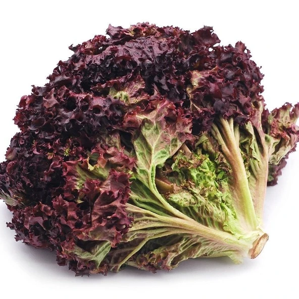 Geleneksel Soğuğa Dayanıklı Ruby Red Kırmızı Kıvırcık Marul Tohumu (100tohum) ürün görseli