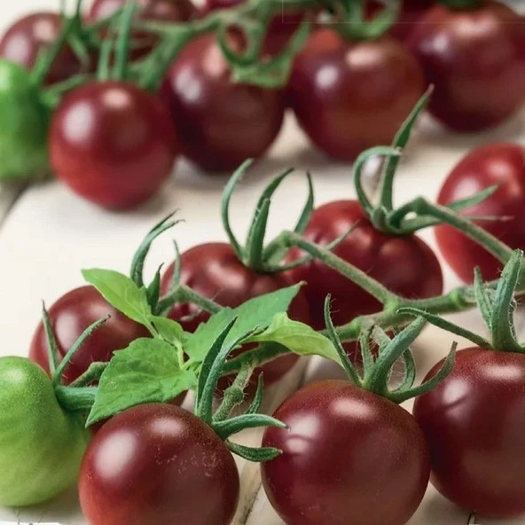 Aroması Yüksek Chocolate Cherry Domates Tohumu (15 tohum) ürün görseli