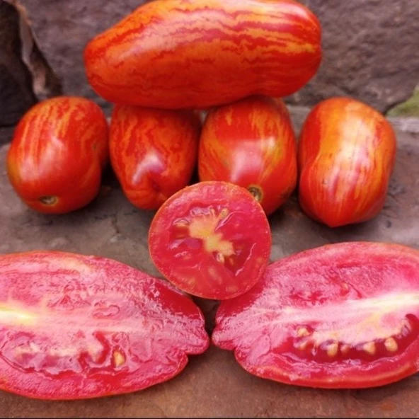 Casady's Folly Alacalı Domates Tohumu (15 tohum) ürün görseli