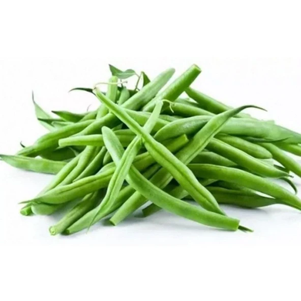 Geleneksel Ata Tohumları 40 Günlük Sazova Fasülye Tohumu (20 tohum) ürün görseli