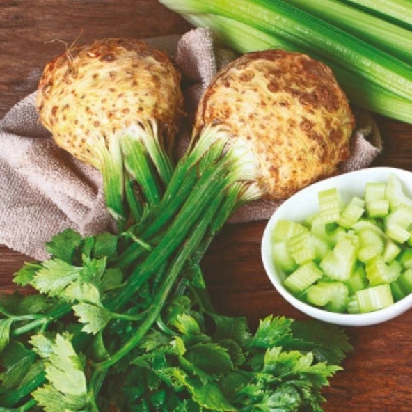 Geleneksel Ata Tohumları İri Kök Kereviz Tohumu (100 tohum) ürün görseli