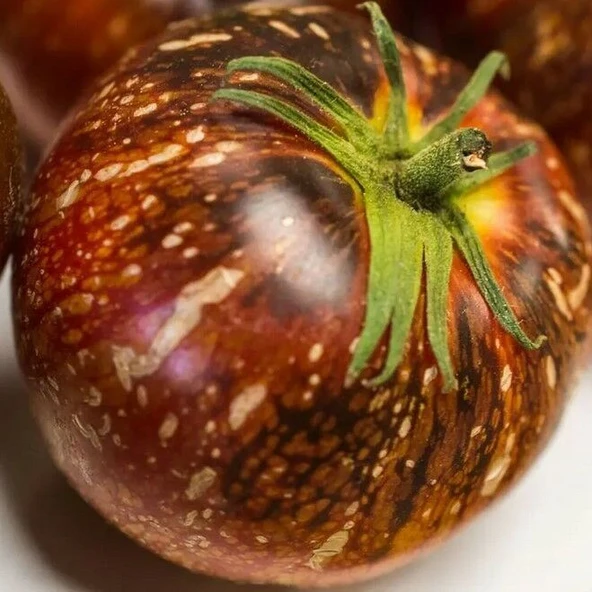 Dark Galaxy Domates Tohumu (15 tohum) ürün görseli