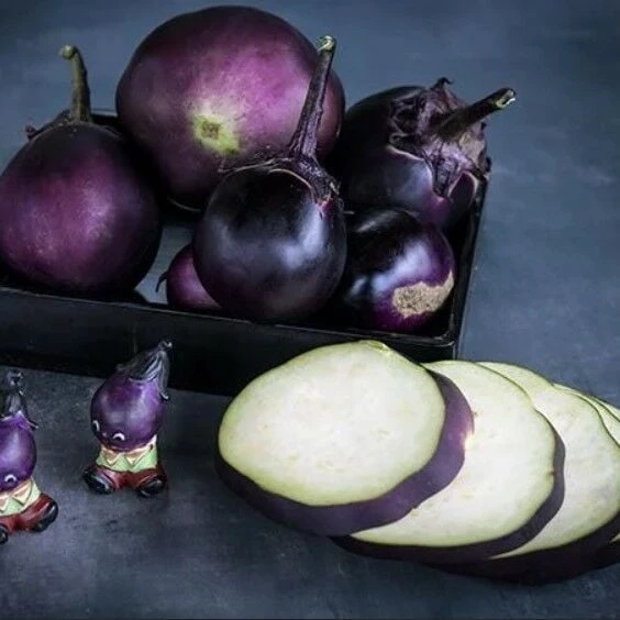 Kamo Patlıcan Tohumu (15 tohum) ürün görseli