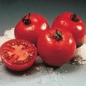 Doğal Floridade Domates Tohumu(20 tohum) ürün görseli